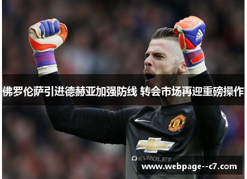 佛罗伦萨引进德赫亚加强防线 转会市场再迎重磅操作 佛罗伦萨引进德赫亚加强防线 转会市场再迎重磅操作