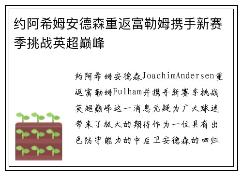 约阿希姆安德森重返富勒姆携手新赛季挑战英超巅峰